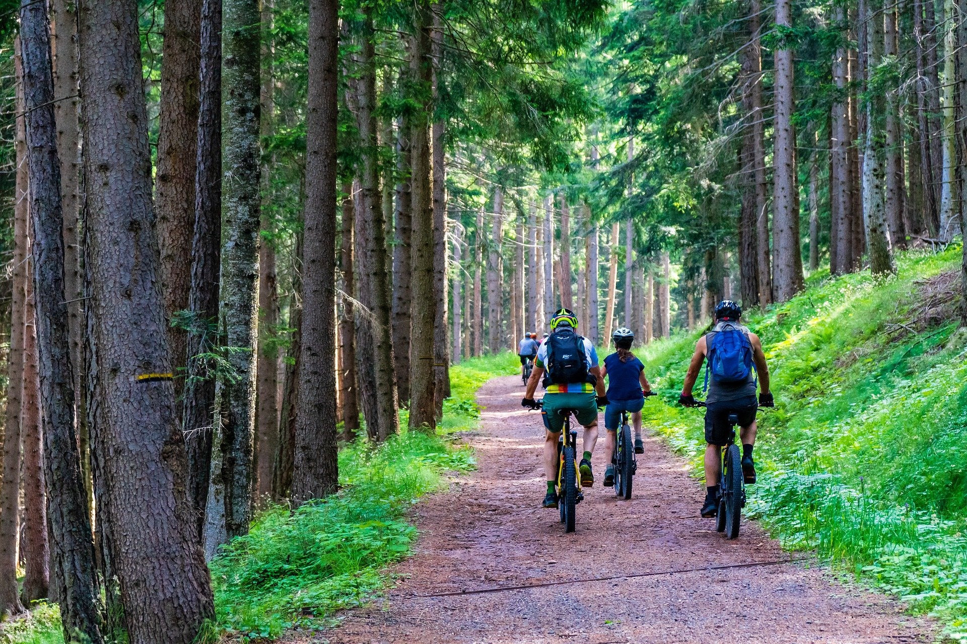 E-Bikes Aren't Cheating, Science Proves Otherwise